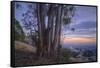 Summer Sunset from Oakland Hills-Vincent James-Framed Stretched Canvas