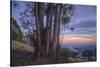 Summer Sunset from Oakland Hills-Vincent James-Stretched Canvas