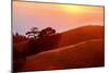 Summer Sunset Mount Tam Hills, Pacific Ocean, California-Vincent James-Mounted Photographic Print