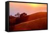 Summer Sunset Mount Tam Hills, Pacific Ocean, California-Vincent James-Framed Stretched Canvas
