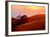 Summer Sunset Mount Tam Hills, Pacific Ocean, California-Vincent James-Framed Photographic Print