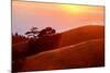 Summer Sunset Mount Tam Hills, Pacific Ocean, California-Vincent James-Mounted Photographic Print
