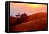 Summer Sunset Mount Tam Hills, Pacific Ocean, California-Vincent James-Framed Stretched Canvas