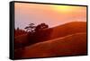 Summer Sunset Mount Tam Hills, Pacific Ocean, California-Vincent James-Framed Stretched Canvas