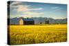 Summer Sunset with an Old Barn and a Rye Field in Rural Montana with Rocky Mountains in the Backgro-Nick Fox-Stretched Canvas