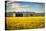 Summer Sunset with an Old Barn and a Rye Field in Rural Montana with Rocky Mountains in the Backgro-Nick Fox-Stretched Canvas