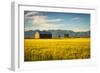 Summer Sunset with an Old Barn and a Rye Field in Rural Montana with Rocky Mountains in the Backgro-Nick Fox-Framed Photographic Print