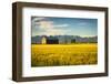 Summer Sunset with an Old Barn and a Rye Field in Rural Montana with Rocky Mountains in the Backgro-Nick Fox-Framed Photographic Print