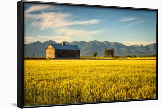 Summer Sunset with an Old Barn and a Rye Field in Rural Montana with Rocky Mountains in the Backgro-Nick Fox-Framed Photographic Print