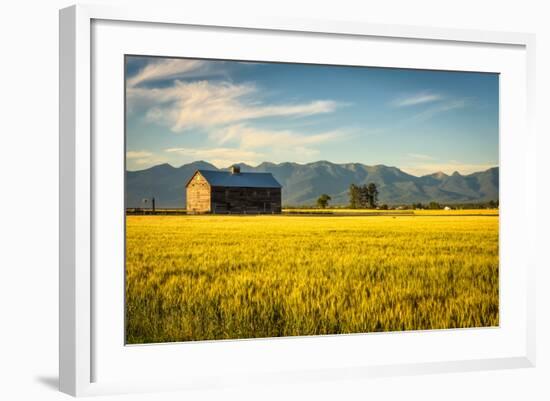 Summer Sunset with an Old Barn and a Rye Field in Rural Montana with Rocky Mountains in the Backgro-Nick Fox-Framed Photographic Print