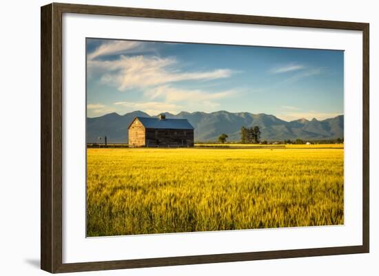 Summer Sunset with an Old Barn and a Rye Field in Rural Montana with Rocky Mountains in the Backgro-Nick Fox-Framed Photographic Print