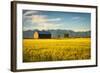 Summer Sunset with an Old Barn and a Rye Field in Rural Montana with Rocky Mountains in the Backgro-Nick Fox-Framed Photographic Print