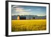 Summer Sunset with an Old Barn and a Rye Field in Rural Montana with Rocky Mountains in the Backgro-Nick Fox-Framed Photographic Print