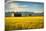 Summer Sunset with an Old Barn and a Rye Field in Rural Montana with Rocky Mountains in the Backgro-Nick Fox-Mounted Photographic Print