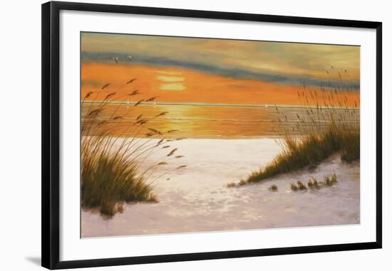 Summer Sunset-Diane Romanello-Framed Art Print