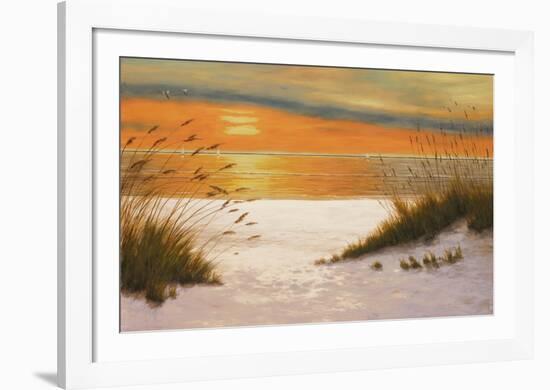 Summer Sunset-Diane Romanello-Framed Art Print