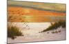 Summer Sunset-Diane Romanello-Mounted Art Print