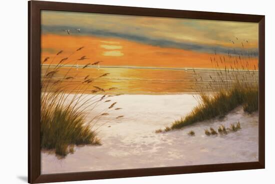 Summer Sunset-Diane Romanello-Framed Art Print