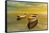 Summer Sunset-Carlos Casamayor-Framed Stretched Canvas