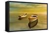 Summer Sunset-Carlos Casamayor-Framed Stretched Canvas