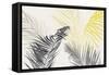 Summer Swaying Palms-Isabelle Z-Framed Stretched Canvas