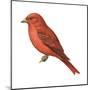 Summer Tanager (Piranga Rubra), Birds-Encyclopaedia Britannica-Mounted Poster