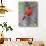 Summer Tanager, Texas, USA-Larry Ditto-Photographic Print displayed on a wall