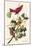 Summer Tanager-John James Audubon-Mounted Art Print