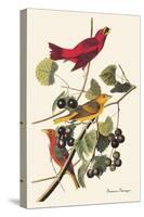 Summer Tanager-John James Audubon-Stretched Canvas