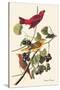 Summer Tanager-John James Audubon-Stretched Canvas