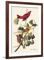 Summer Tanager-John James Audubon-Framed Art Print