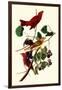 Summer Tanagers-John James Audubon-Framed Giclee Print