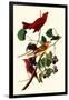 Summer Tanagers-John James Audubon-Framed Giclee Print