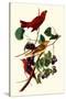 Summer Tanagers-John James Audubon-Stretched Canvas