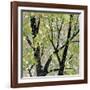 Summer Theme-Helena Alves-Framed Art Print