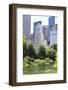 Summer Time in Central Park and Manhattan Skyline, New York City-Zigi-Framed Photographic Print