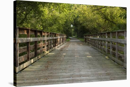 Summer Trail Scene-johnsroad7-Stretched Canvas