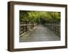 Summer Trail Scene-johnsroad7-Framed Photographic Print