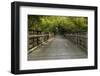 Summer Trail Scene-johnsroad7-Framed Photographic Print