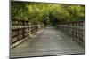 Summer Trail Scene-johnsroad7-Mounted Photographic Print