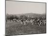 Summer Training on the Plain at West Point - circa 1880, United States Military Academy., 1880 (Pho-Ted Spiegel-Mounted Giclee Print