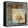 Summer Tree I-Michael Marcon-Framed Stretched Canvas
