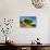Summer Tree-Sebastien Lory-Photographic Print displayed on a wall