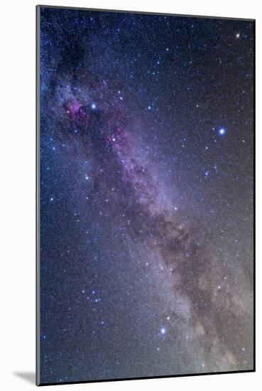 Summer Triangle Area of the Northern Summer Milky Way-null-Mounted Premium Photographic Print