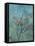 Summer Triclinium: Garden Paintings, 20, 1st Century, Mural-null-Framed Stretched Canvas