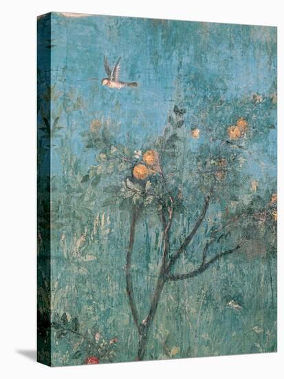 Summer Triclinium: Garden Paintings, 20, 1st Century, Mural-null-Stretched Canvas