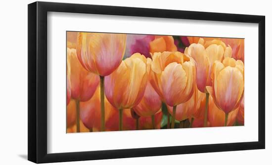 Summer Tulips-Luca Villa-Framed Art Print