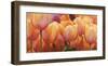 Summer Tulips-Luca Villa-Framed Art Print