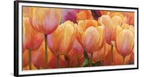 Summer Tulips-Luca Villa-Framed Art Print