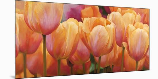 Summer Tulips-Luca Villa-Mounted Art Print